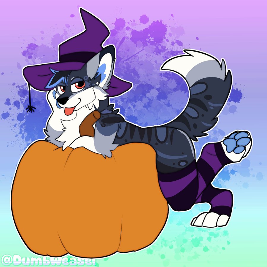 Wearing a witch hat and striped socks, lounging on a giant pumpkin
